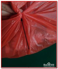 塑料袋無繩密封技巧 輕松防蟻防蟑螂